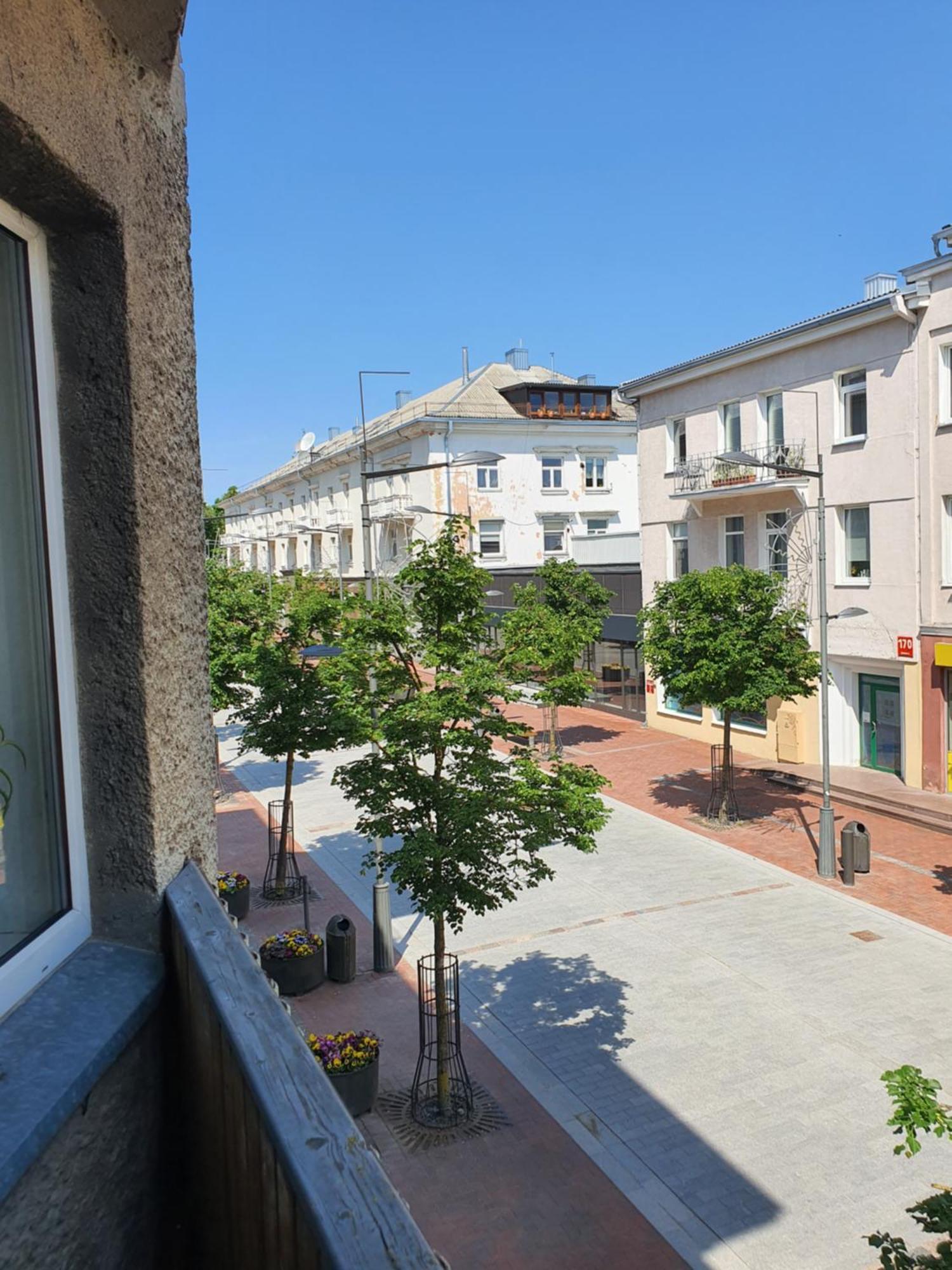 Downtown Boulevard View